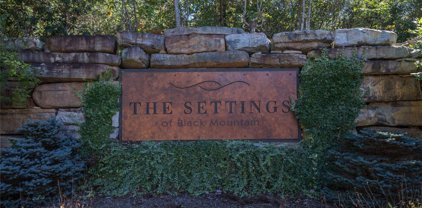 204 Settings  Boulevard Unit #247, Black Mountain