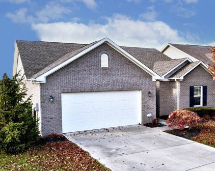 9624 Timber Circle, Mccordsville