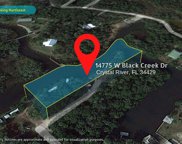 14775 Black Creek, Crystal River image