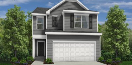 60 Sepia Oak Drive, Newnan