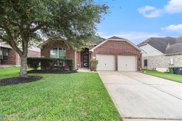9008 Sun King Drive, Pearland image