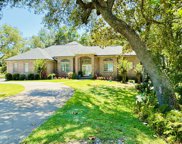 4200 Turtle Crossing, Niceville image