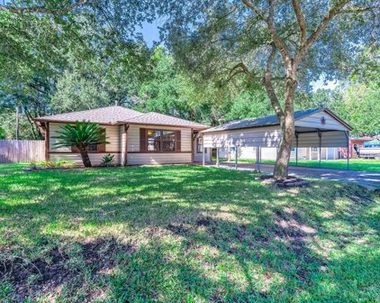 233 Mclemore Drive, Alvin