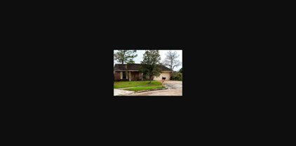 10109 Fernstone Lane, Houston