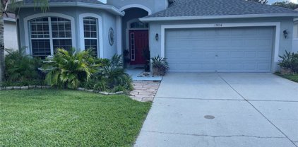 15834 Pond Rush Court, Land O' Lakes