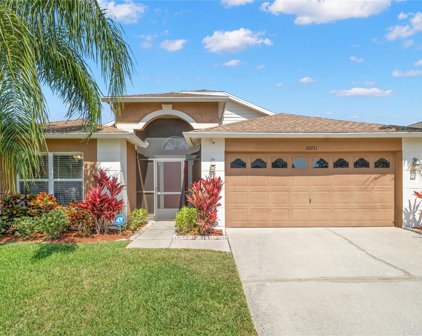 22741 Roderick Drive, Land O' Lakes