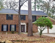 34 Sylvan Forest Drive, The Woodlands image