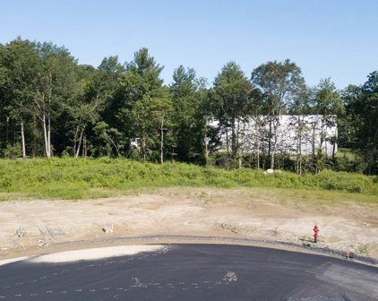 Lot 7 Wildwood Path, Raynham