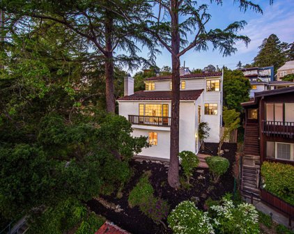 917 Euclid, Berkeley