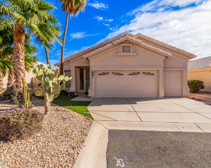 11652 W Prickly Pear Court, Surprise