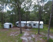71 Ne 538th St 32680, Old Town image