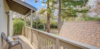 19305 Vineyard LN, Saratoga