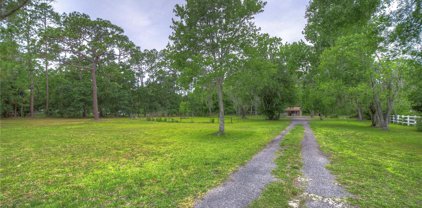7753 Tallowtree Drive, Wesley Chapel
