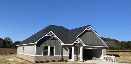 412 Carver Drive Sw, Arab