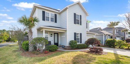 7 Hatton Court, Santa Rosa Beach