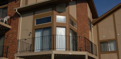 371 Wilmington Drive Unit #201D, Bartlett