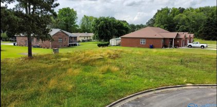 Lot 3 Sutton Place Circle, Albertville