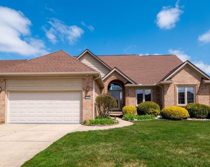 34246 PIONEER, Fraser