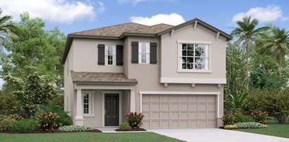 9967 Branching Ship Trace, Wesley Chapel