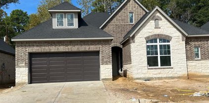 29631 Cedar Elm Way, Tomball