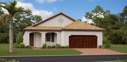 17218 Sparrow Case Street, Wimauma