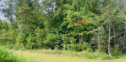 10105 Chapin Woods Pl, Newburg