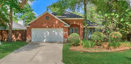 39 Paddock Pines Place, The Woodlands