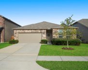 2514 Northern Great White Court, Katy image