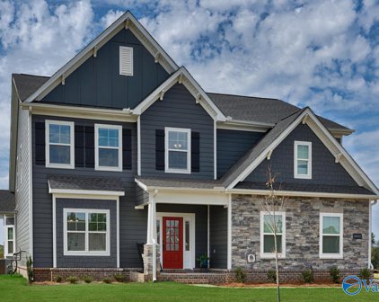 8002 Brinell Court, Huntsville