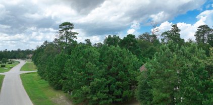 5803 White Birch Run, Spring