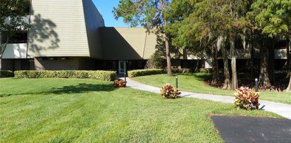 36750 Us Highway 19  N Unit 04239, Palm Harbor