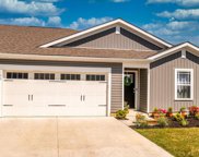 153 Sedmont Cir, Smyrna image