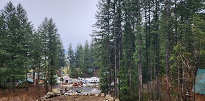 0 Lot 9 Richer Drive, Packwood