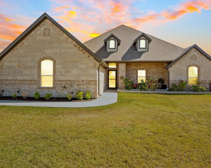 100 Mike Thornton  Court, Weatherford