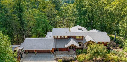 411 Coopers Hawk  Drive, Asheville