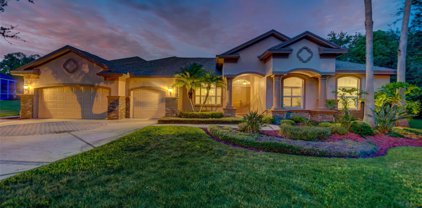 4 Copperwood Court, Safety Harbor