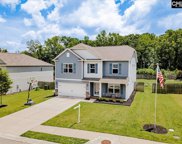123 Sunsation Drive, Chapin image