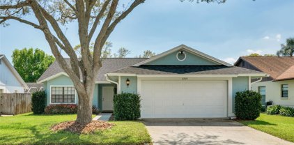 8709 Hampden Drive, Tampa