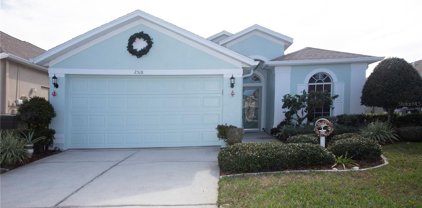 2518 Grey Dove Court, Holiday