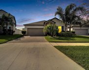 13334 Wildflower Meadow Drive, Riverview image
