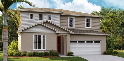 1011 Sugarwood Street, Davenport