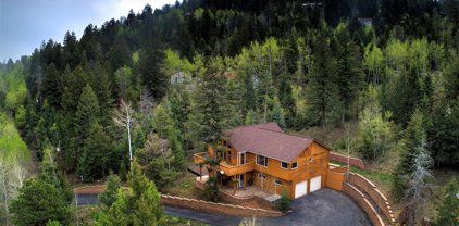 9820 City View Drive, Morrison