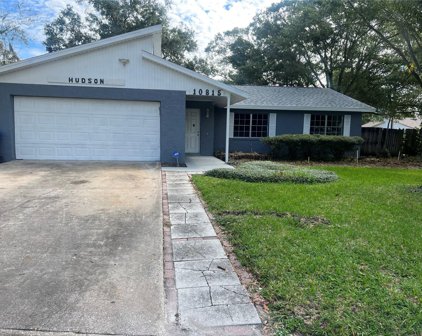 10815 Airview Drive, Tampa