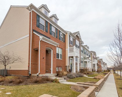 826 E Wing Street Unit #-, Arlington Heights