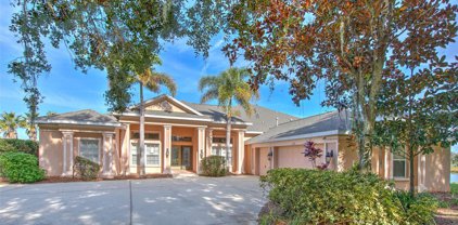 5517 Winding Brook Lane, Valrico