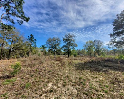 300 Fish Or Cut Bait Drive, Defuniak Springs