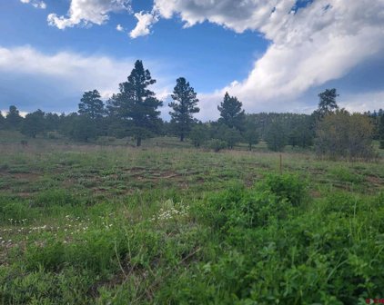 77 Bonita, Pagosa Springs