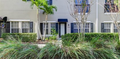 10060 Old Haven Way, Tampa