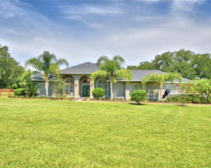 423 Lake Ned Road, Winter Haven