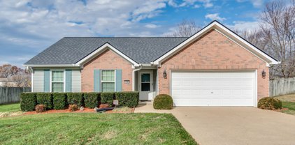 1905 Lawndale Dr, Spring Hill